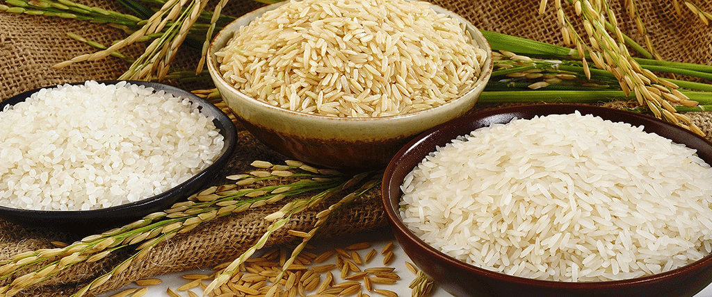 Rice variety