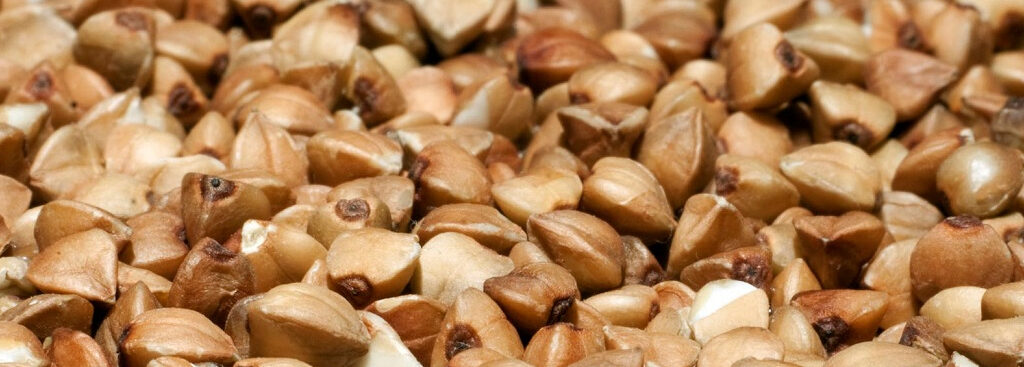 reasons to eat healthy buckwheat