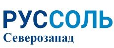 Russalt logo